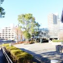 이정부엌 | [도쿄여행] 미토 ,츠쿠바 렌트 여행... 그리고 도쿄입성