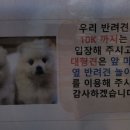 르볼