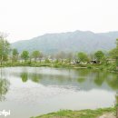 파로호느릅마을 이미지