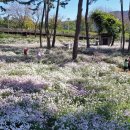 밀양공설운동장 이미지