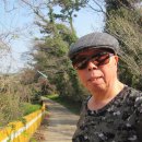 광령초등학교 이미지