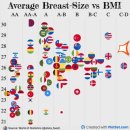 세계 가슴사이즈 비교표 이미지