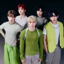 파우