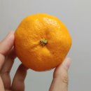 마소물로 이미지