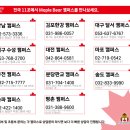 달서메이플베어