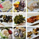 영덕 강구 삼사리 행복초밥 오마카세/ 남들 들으면 배부른 소리