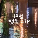 금능공원(파주경찰서옆) | 속에서 ~ 때 아닌 장마가 느껴진거야의 10월 행복 저금통 ( feat.양화한강공원, 휘우커피, 북한산 카페 )