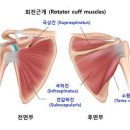 아지트피티 이미지