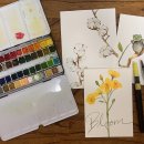 붓펜 수채 캘리그라피 중급 이미지