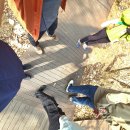 생태공원(참나무숲)[다산-2] | 광릉수목원 소요(逍遙)