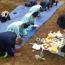 대일2농장 이미지