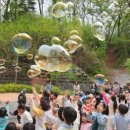 솔빛초등학교 이미지