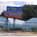 청운면메기마을 이미지
