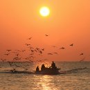 떠오르는 태양 이미지