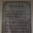 포항 양덕 밀면:가당면옥/가다랑어 육수 밀면