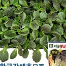 황금농약사 이미지