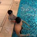 신세계수영장 | 호캉스] 대전 호텔 오노마 스위트룸 1박 2일 리얼 후기! 수영장 정보, 신세계백화점 연결 꿀팁 (내돈내산)