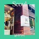 일야커피 | 마포 공덕경의선 숲길 핸드드립 전문 카페 일야커피