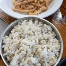 옹기보리밥곤지곤지 이미지