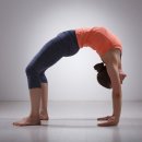 요가라이프 이미지