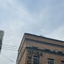 더신사의원 | 더신사의원 리쥬란힐러 효과 후기