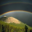 대한항공정우회 이미지