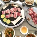 거북이동네외동