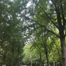 우장산공원길 | 우장산 트랙 러닝 시작하기