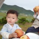 라라아이엠 이미지