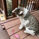 신전목장 이미지