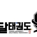 서초용인대태권도 이미지