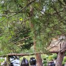 정성횟집 이미지