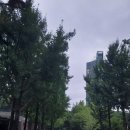 서울숲7 이미지