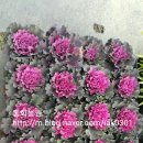 동화조경농원 이미지