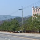 청령포모텔
