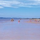 청포대해수욕장 이미지