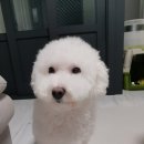 그루밍아이엠 이미지