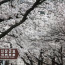 (주)여행장군 이미지