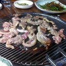 이솔산오리 이미지