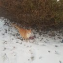 (주)공감