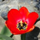 고서초등학교 이미지