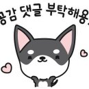애견수족관 이미지
