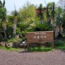 비블리아성서식물원 이미지