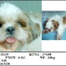 뽀미랑 이미지