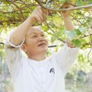 산속의친구 이미지