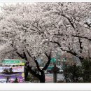 화순제일중 이미지