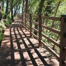 에스더블유(주) 이미지