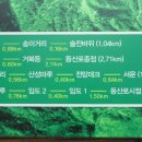 대공산성 등산로 이미지