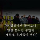 단골분식 이미지