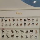 24시 수유 바른펫 동물의료센터 이미지